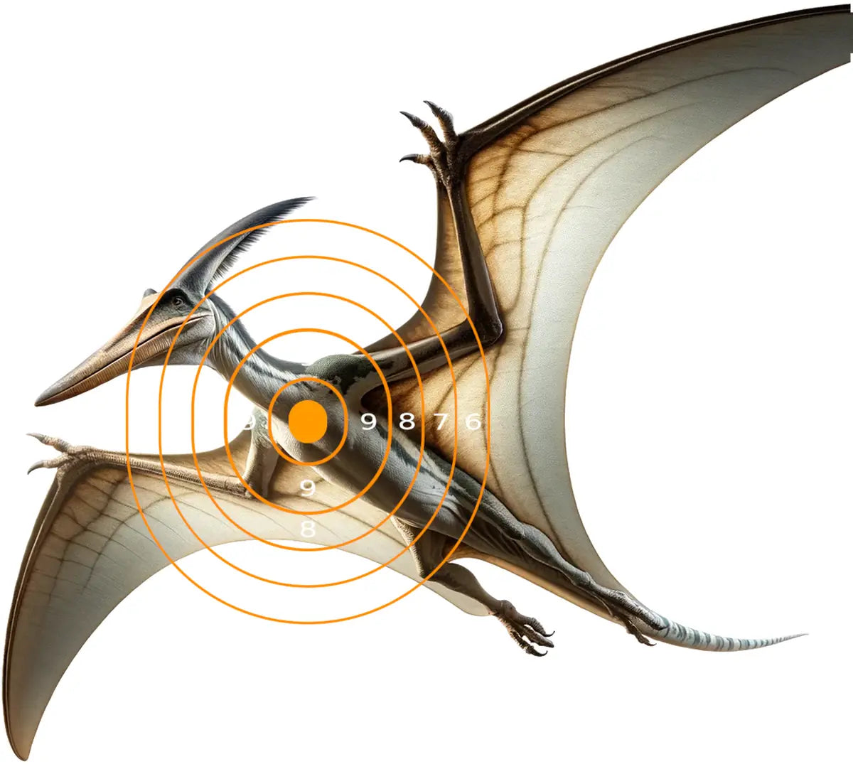 Dinosaur Pteranodon Target 2 - Printable Shooting Target