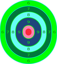 Bullseye Precision Collection (100 Targets)