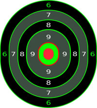 Bullseye Precision Collection (100 Targets)