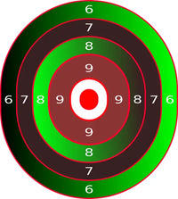 Bullseye Precision Collection (100 Targets)
